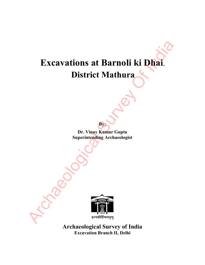 Cover of Excavations at Barnoli ki Dhai, District Mathura