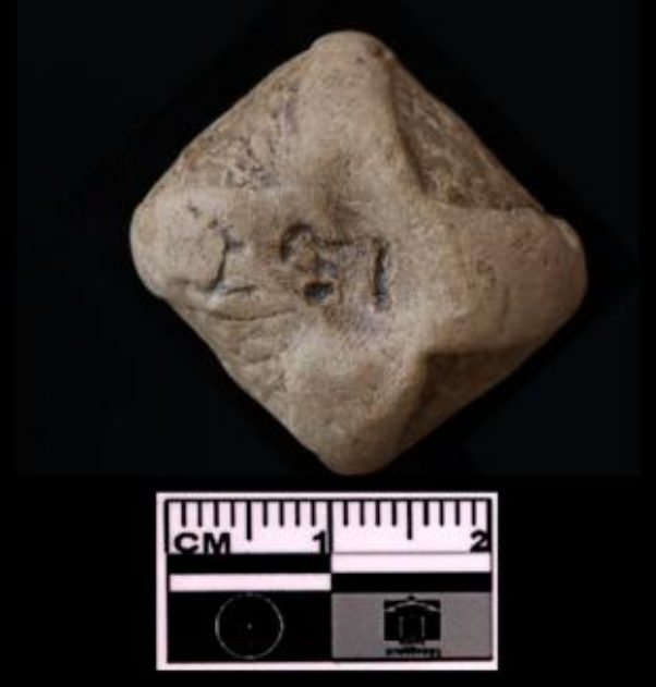 A diamond-shaped clay sealing with early Brahmi letters